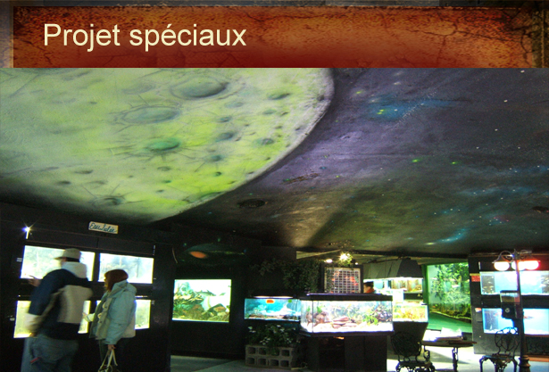 Projets spéciaux